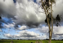 草榴论坛疑问汇总