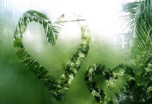 草榴邀请码购买指南：注册流程、账号使用规范及注意事项详解